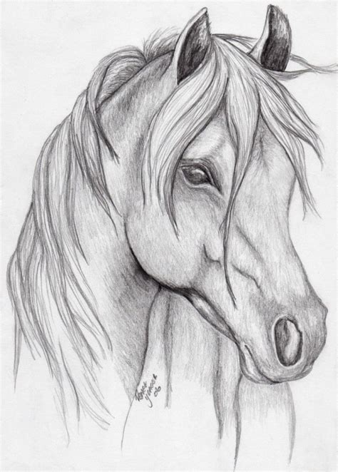 animals pencil drawing images|20 Easy Animals to Draw Even For Absolute Beginners .